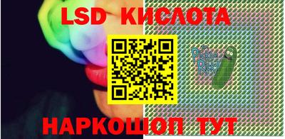 ГАЛЛЮЦИНОГЕННЫЕ ГРИБЫ Сланцы