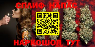 ГАЛЛЮЦИНОГЕННЫЕ ГРИБЫ Сланцы
