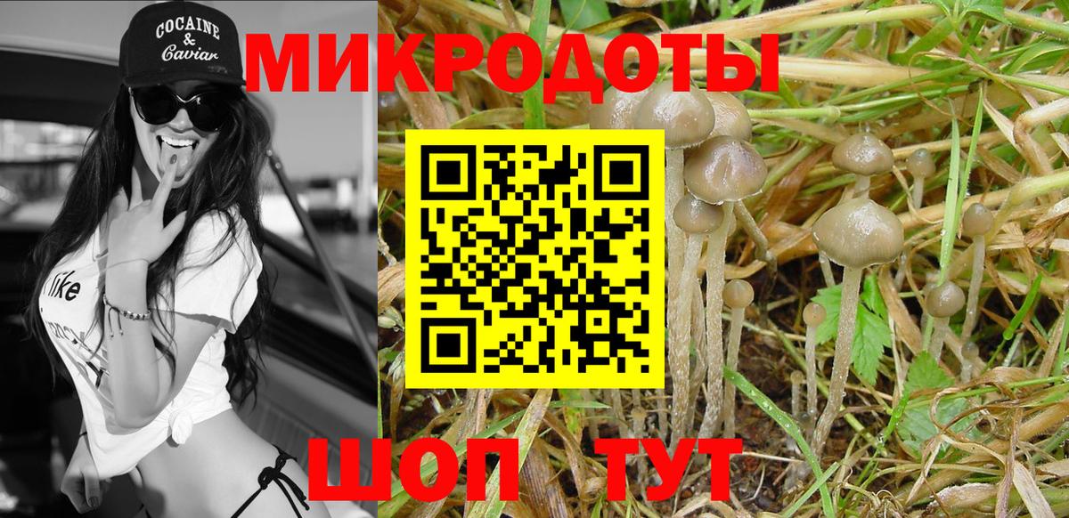 купить   Галлюциногенные грибы мицелий  Вход с VPN  Новороссийск 
