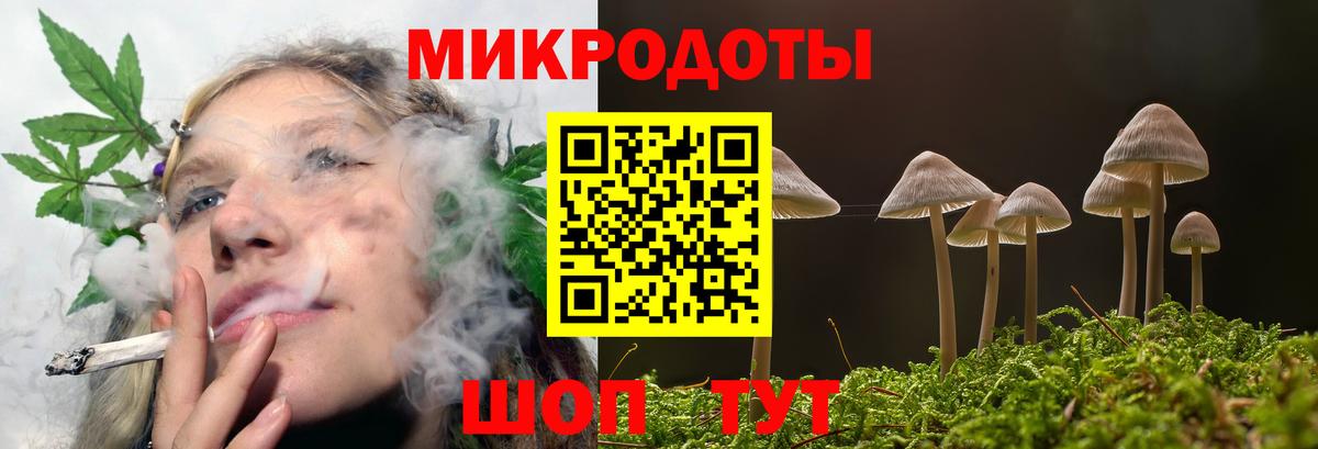 Псилоцибиновые грибы Magic Shrooms Новороссийск