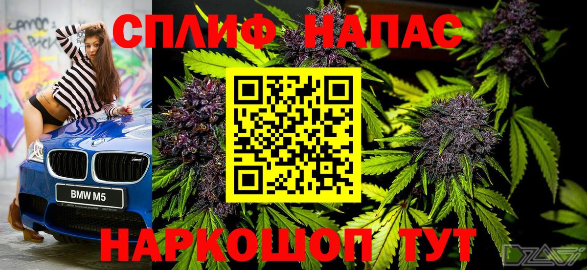 Бошки Шишки THC 21%  Конопля гибрид  Бошки Шишки семена  Новороссийск  Конопля Amnesia  Вход с VPN 