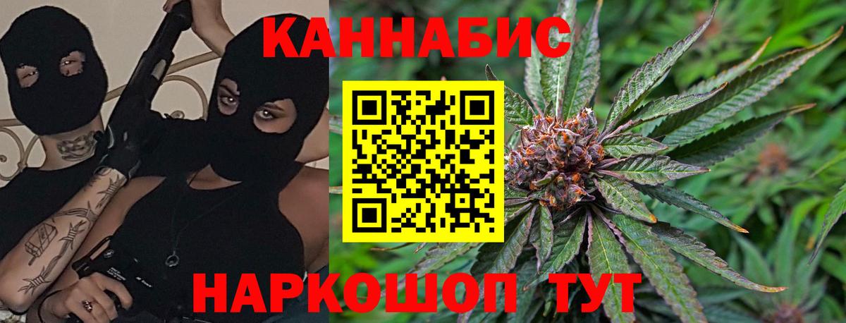 Бошки марихуана сатива Новороссийск